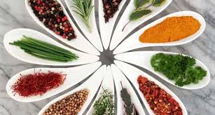 گیاهان دارویی باید شناسنامه‌دار شوند/قیمت رقابتی نیست