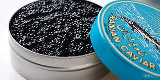 تسهیلات ارزان قیمت برای طرح های پرورش خاویار