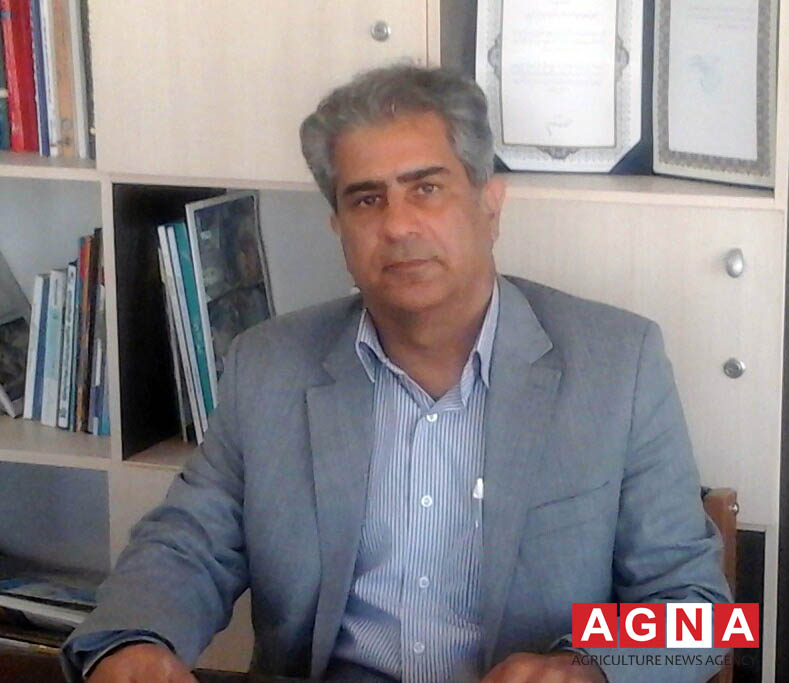 ۶۰ درصد ظرفیت کارخانجات خوراک دام و طیور کشور از دور تولید خارج شدند/ واردات نهاده های دام و طیور در اختیار انحصارگران