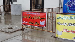 photo_2017-02-12_10-33-02