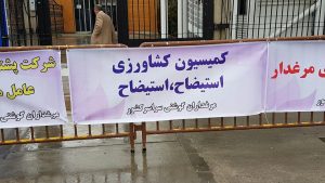 photo_2017-02-12_10-33-14