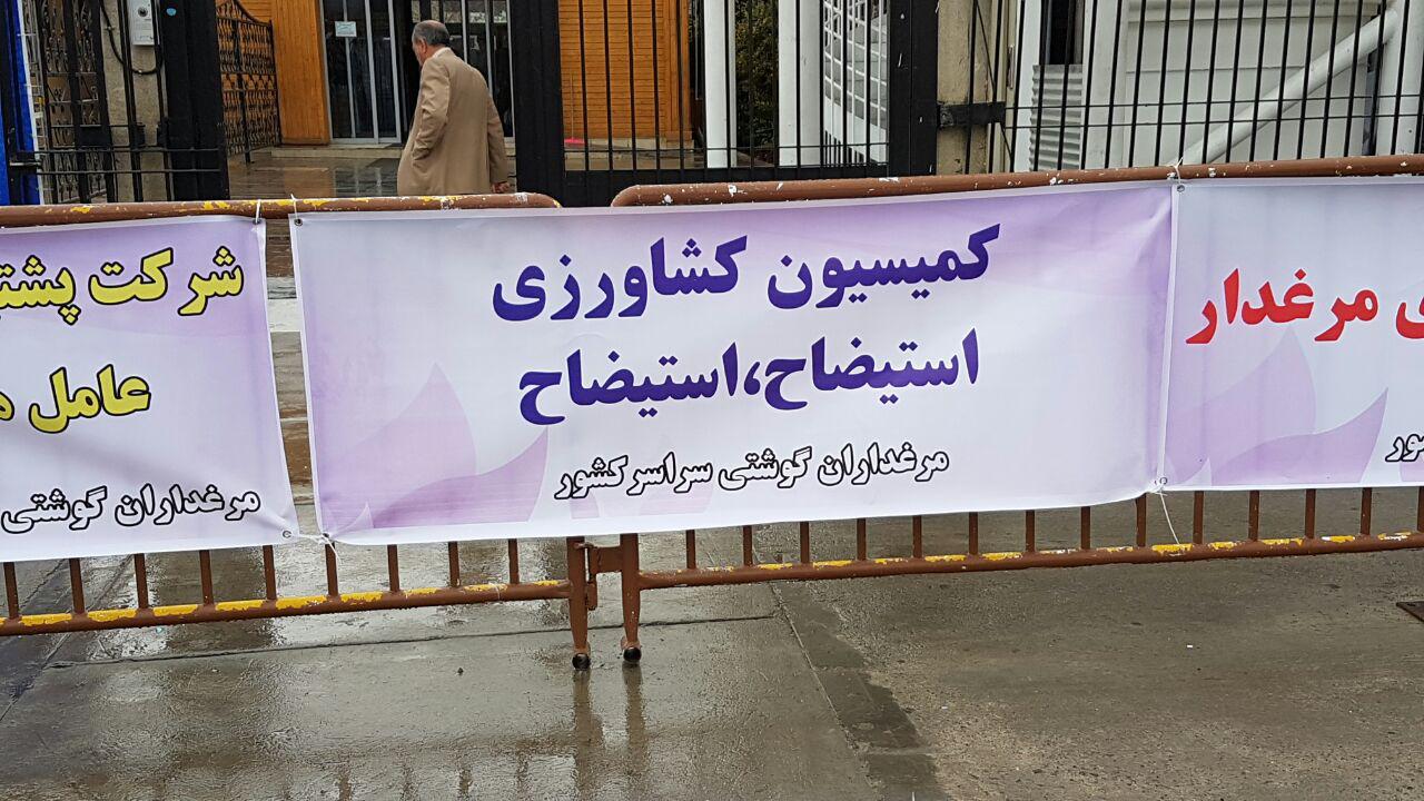 خواسته تجمع کنندگان، استیضاح حجتی است/ دولت از مرغداران حمایت نمی کند