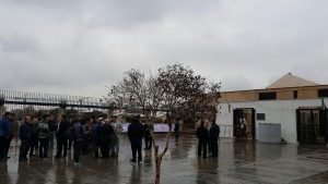 photo_2017-02-12_10-33-44