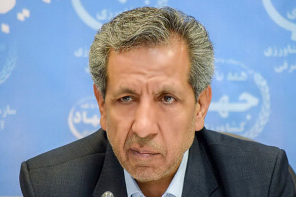 خرید تضمینی گندم مازاد کشاورزان در آذربایجان شرقی ۳ برابر شده است