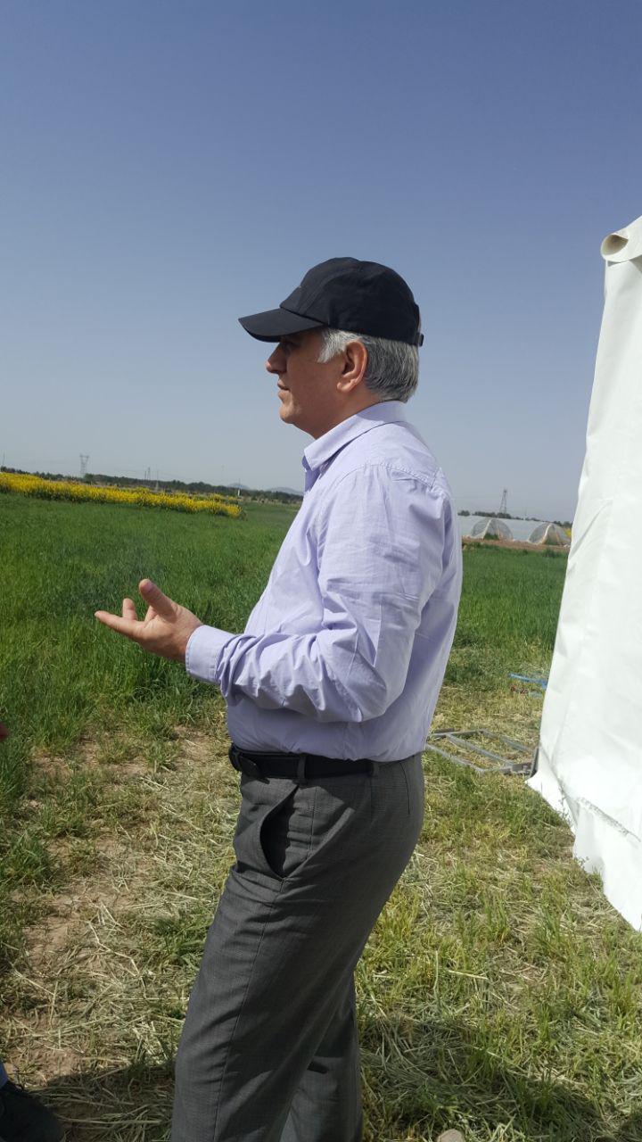 ایجاد فضای رقابتی یکسان میان شرکت های خصوصی و موسسه های تحقیقاتی/ دسترسی کشاورزان به بهترین نوع نهاده و ماشین آلات در نخستین رویداد روزهای مزرعه ایران