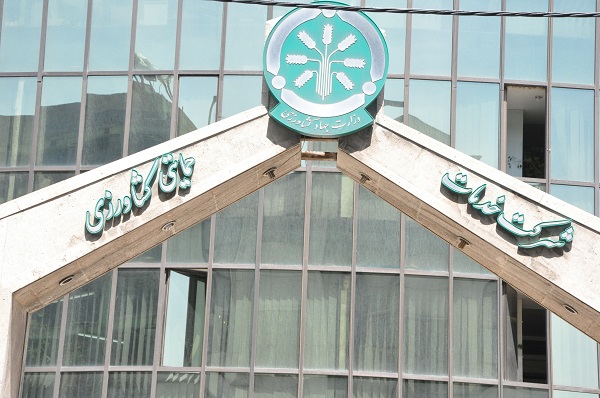 سیف: حذف شرکت های دولتی و ایجاد شرکت های زیرپله ای، خلاف اصل ۴۴ است/ حسینی: شرکت های دولتی، واسطه گری می کنند