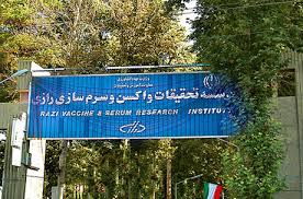 تولید سالانه ۱۵۰ هزار آمپول ضدمارگزیدگی و ضدعقرب زدگی در موسسه رازی