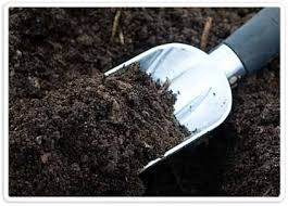 بخش خصوصی باید صحنه گردان بازار کود باشد