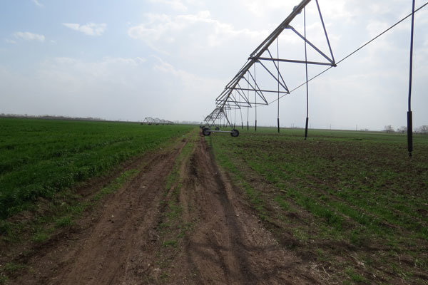 ۳۰۳۷ پروژه تولیدی و زیربنایی بخش کشاورزی به بهره‌برداری رسید