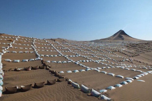 اجرای طرح ترسیب کربن به تهران هم رسید