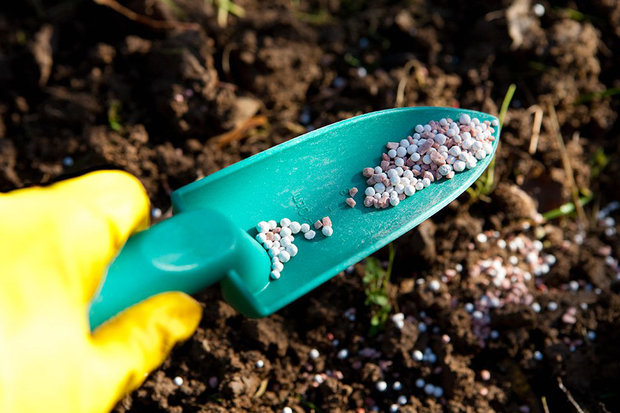 هیچگونه کود غیراستانداردی در کشور مصرف نمی‌شود