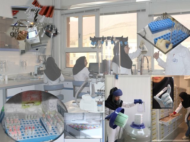 بانک میکروارگانیسم‌های ایران در فهرست کلکسیون‌های میکروبی معتبر جهان ثبت شد