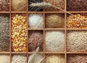 قیمت خرید تضمینی انواع محصولات زراعی برای سال زراعی ۹۷-۹۶