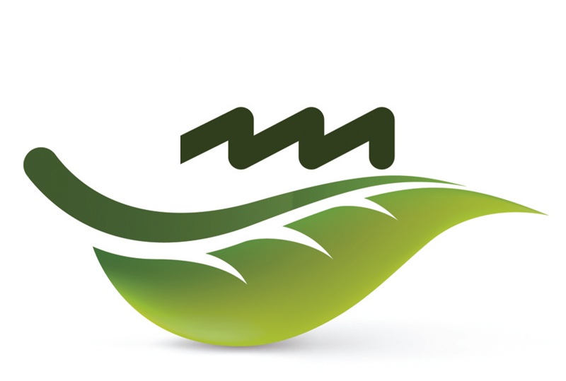 صنعتی‌شدن، سیاست درست می‌خواهد نه زمین بیشتر