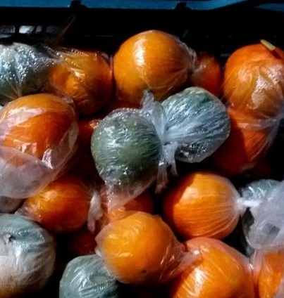 پرتقال‌های رنگ شده نخورید/ با عرضه‌کنندگان برخورد می‌شود