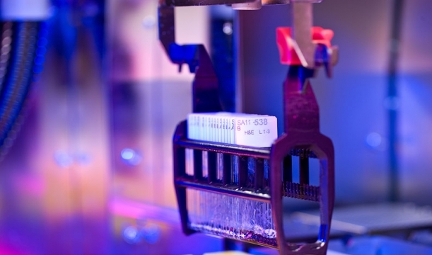 شناسایی سریع بیماری مارک در مزارع پرورش امکانپذیر شد