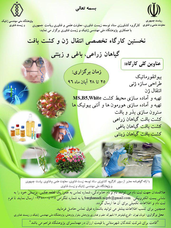 نخستین کارگاه تخصصی انتقال ژن و کشت بافت گیاهان زراعی، باغی و زینتی برگزار می شود
