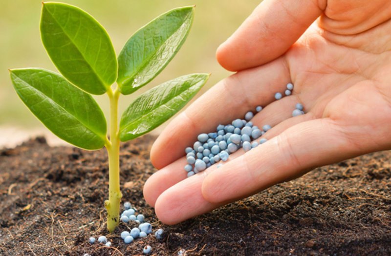 کمک سازمان تعزیرات حکومتی برای افزایش کیفیت کودهای شیمیایی در کشور