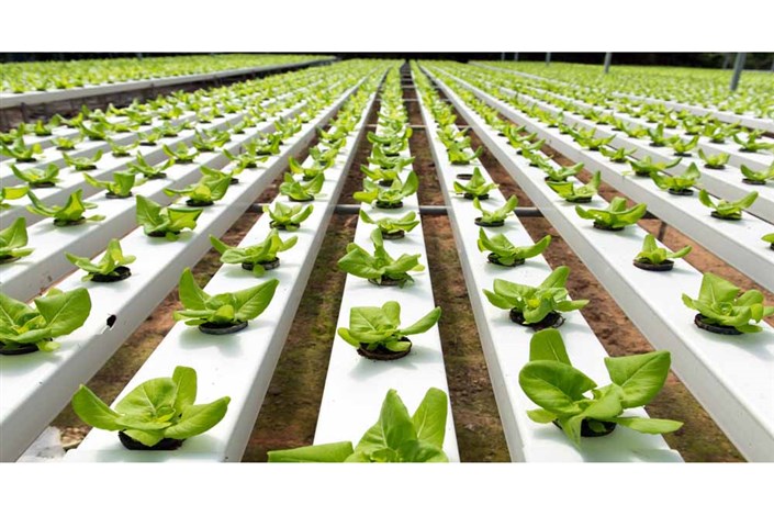 بررسی استفاده از فناوری های‌ نوین برای تحقق کشاورزی پایدار