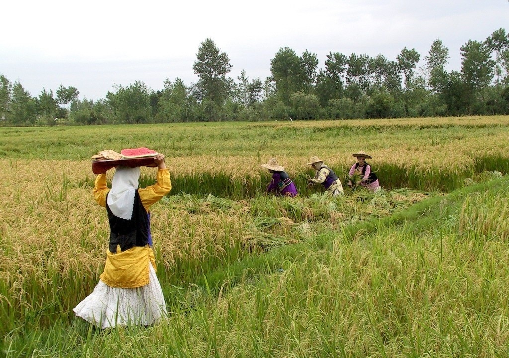 نرخ بالای بهره بانکی، بلای جان کشاورزان