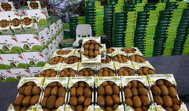 تمرکز بر تولید محصولات ارگانیک در دستور کار وزارت جهاد