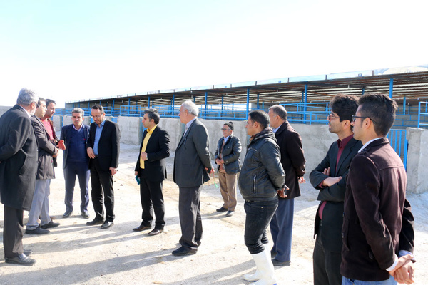 تردد بدون ضابطه دام شیوع بیماری را تسریع می کند