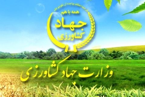 به هیچ وجه انحصاری در واردات نهاده های دامی وجود ندارد/ادعای حمایت این وزارت از انحصار در واردات و فرد نامبرده شده از اساس باطل است