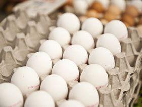 تخم مرغ در هند هم موقتا گران شد!/ سود صنعت طیور هند در سال ۲۰۱۸