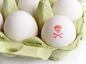 هیات ایمنی خوراک هلندی متهم به دخالت در رسوایی تخم مرغ شد