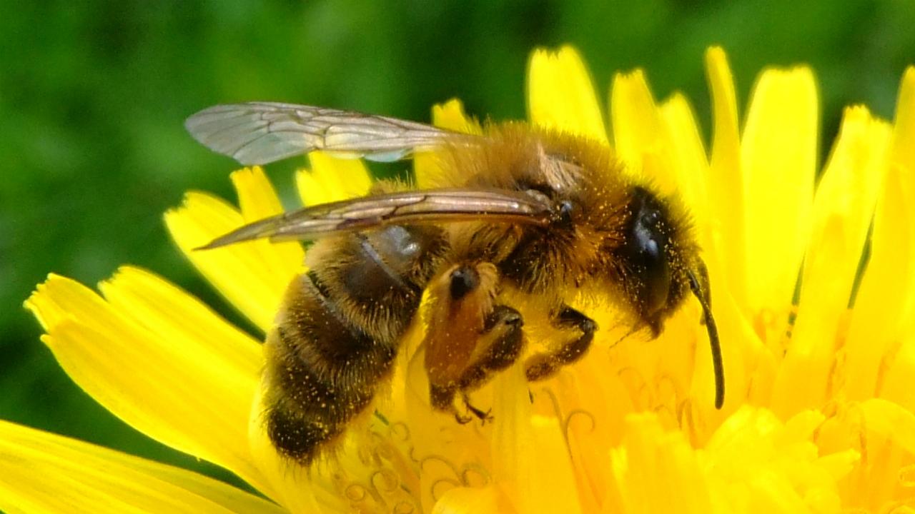 قانون‌شکنی برخی مدیران اتحادیه‌ها 