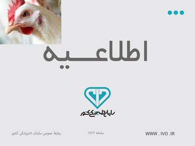 حتی یک نانوگرم از هیچ هورمونی در هیچ مرغداری استفاده نمی‌شود