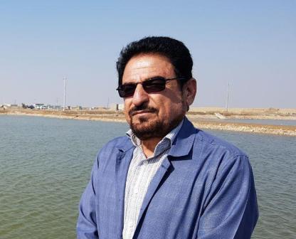 سرمایه گذاری در بخش پرورش میگو و ارز آوری ۱۸ میلیون دلاری در سال / بازار میگو بدلیل بیماری لکه سفید از دست چین خارج شده