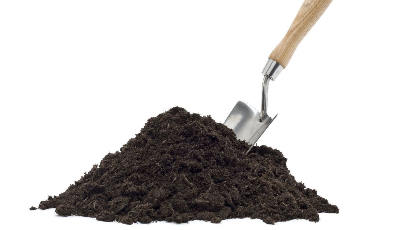 کشف گونه جدیدی از آنتی بیوتیک‌ها در خاک