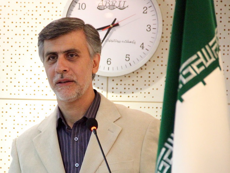 تولید آزمایشی برنج تراریخته تا اطلاع ثانوی متوقف شده است/ تولید و کشت انبوه برنج تراریخته تا دو سال آینده