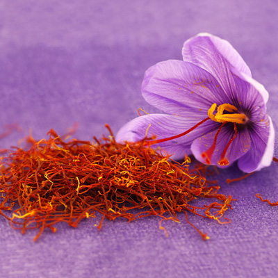 ۹۵ درصد زعفران دنیا در ایران تولید می شود/تولید زعفران در چین و افغانستان تهدید نیست