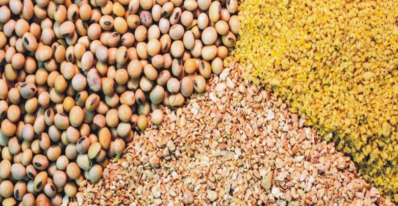 معافیت ویتامین‌های مصرفی خوراک دام و طیور از پرداخت مالیات و عوارض 