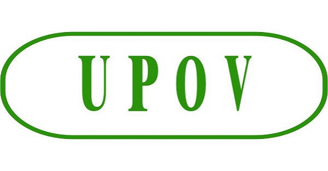 عضویت ایران در کنوانسیونupov، پذیرش محدودیت های بسیار در ازای«هیچ» است/ استدلال واهی موافقان؛ خودکشی از ترس مرگ!