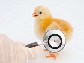 ابداع روشی برای ایجاد انواع جدید واکسن توسط محققان