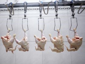 تصویب لایحه در Kansas House برای اجرای عملیات گسترده در بخش طیور