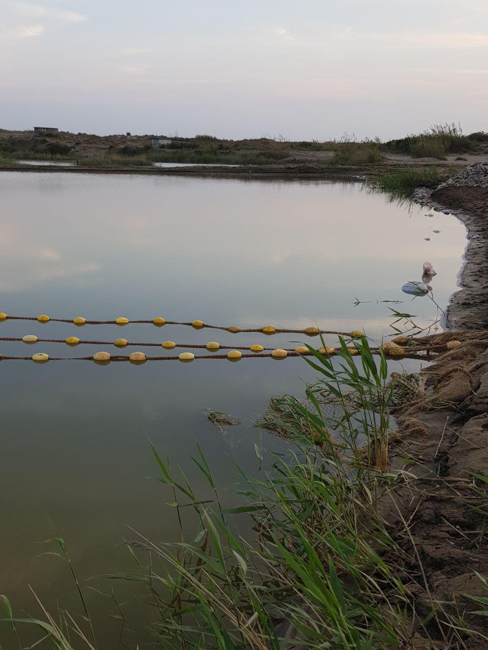 شیلات با مشارکت صیادان، دریای مازندران  را احیا می کند