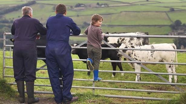 قرارداد اجاره زمین های کشاورزی باید دوباره بررسی شود