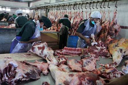 ذبح دام فقط در کشتارگاه ها، تب کریمه کنگو را ریشه کن می کند