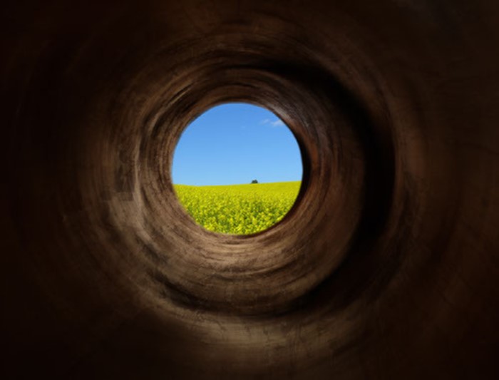 تاثیر دید تونلی در تولید طیور