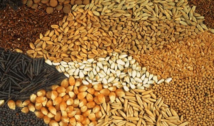 تک نرخی شدن ارز تاثیری بر بازار نهاده های دامی نخواهد داشت