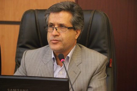 بازار، قیمت مرغ را تعیین کند/پرداخت یارانه و تخصیص ارز به منظور کنترل قیمت بی فایده است