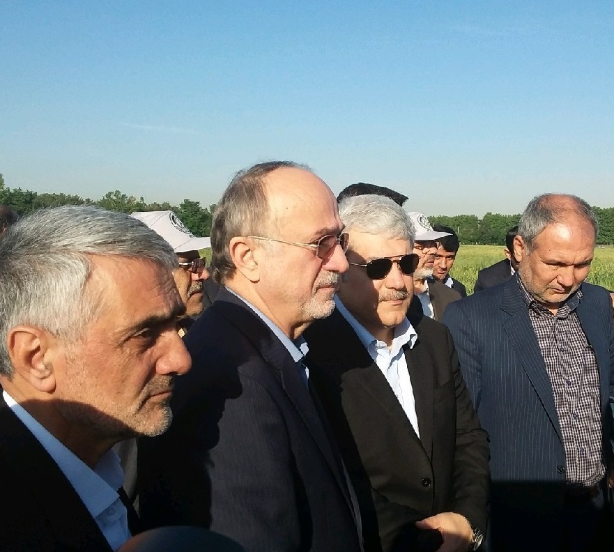 ۴ دانش فنی ارقام اصلاح شده جدید زراعی به بخش خصوصی واگذار شد