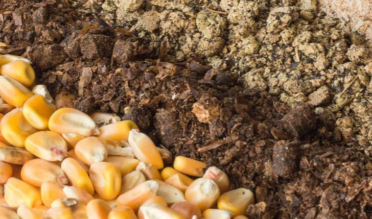 ورود دستگاه های نظارتی برای جلوگیری از سودجویی در بازار نهاده ها