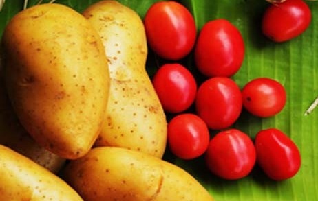 افزایش قیمت گوجه‎فرنگی و سیب‌زمینی در پی اعتصاب کامیون‌داران و صادرات