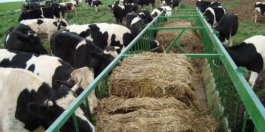 رونمایی از ۳ محصول دانش‌بنیان پارک فناوری مازندران/تولید مکمل خوراک دام و طیور