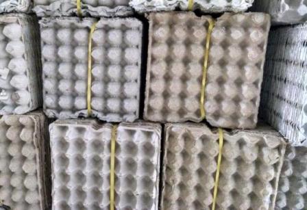 زنگ خطر استفاده مرغداران از کارتن ها و شانه های مستعمل تخم مرغ/احتمال شیوع آنفلوانزای فوق حاد پرندگان